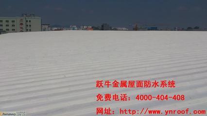 漳州工廠廠房鋼結構金屬屋面防水補漏維修工程供應承接